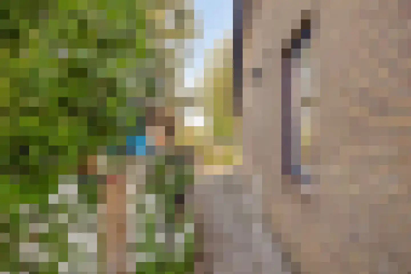 Kleine Heistraat 16 a Wernhout thumbnail 51