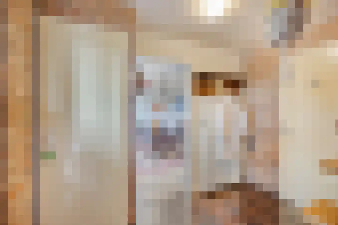 Kleine Heistraat 16 a Wernhout thumbnail 9