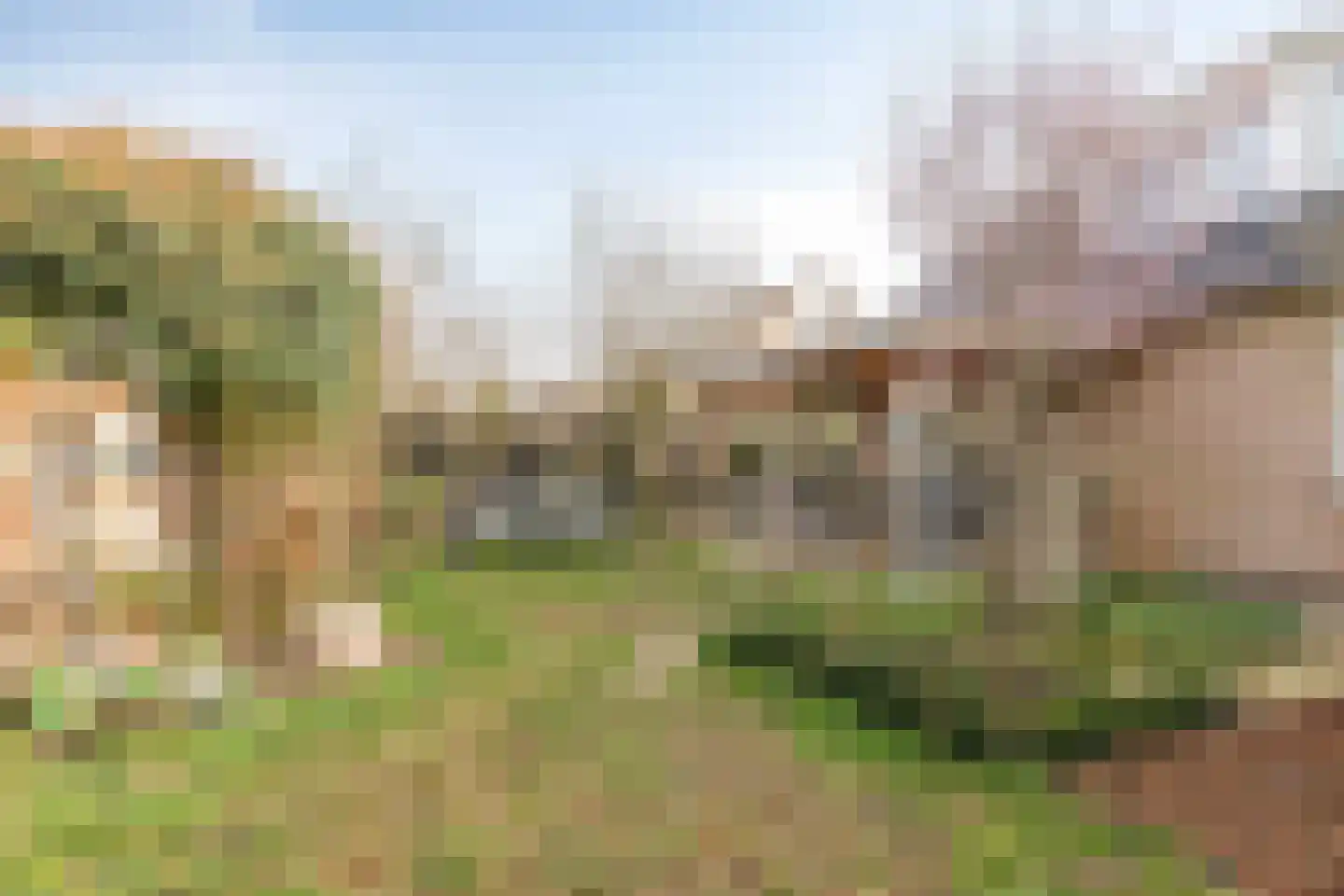 Kleine Heistraat 16 K026 Wernhout thumbnail 29