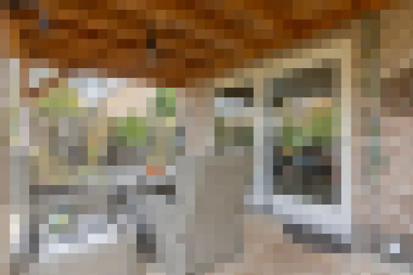Kleine Heistraat 16 K026 Wernhout thumbnail 34