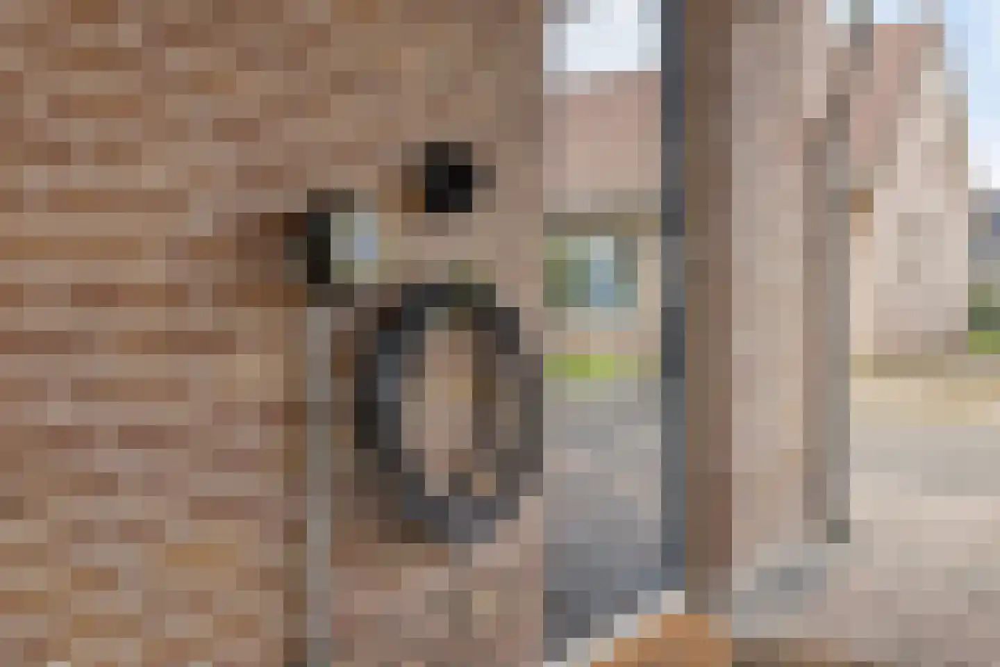 Kleine Heistraat 16 K029 Wernhout thumbnail 9