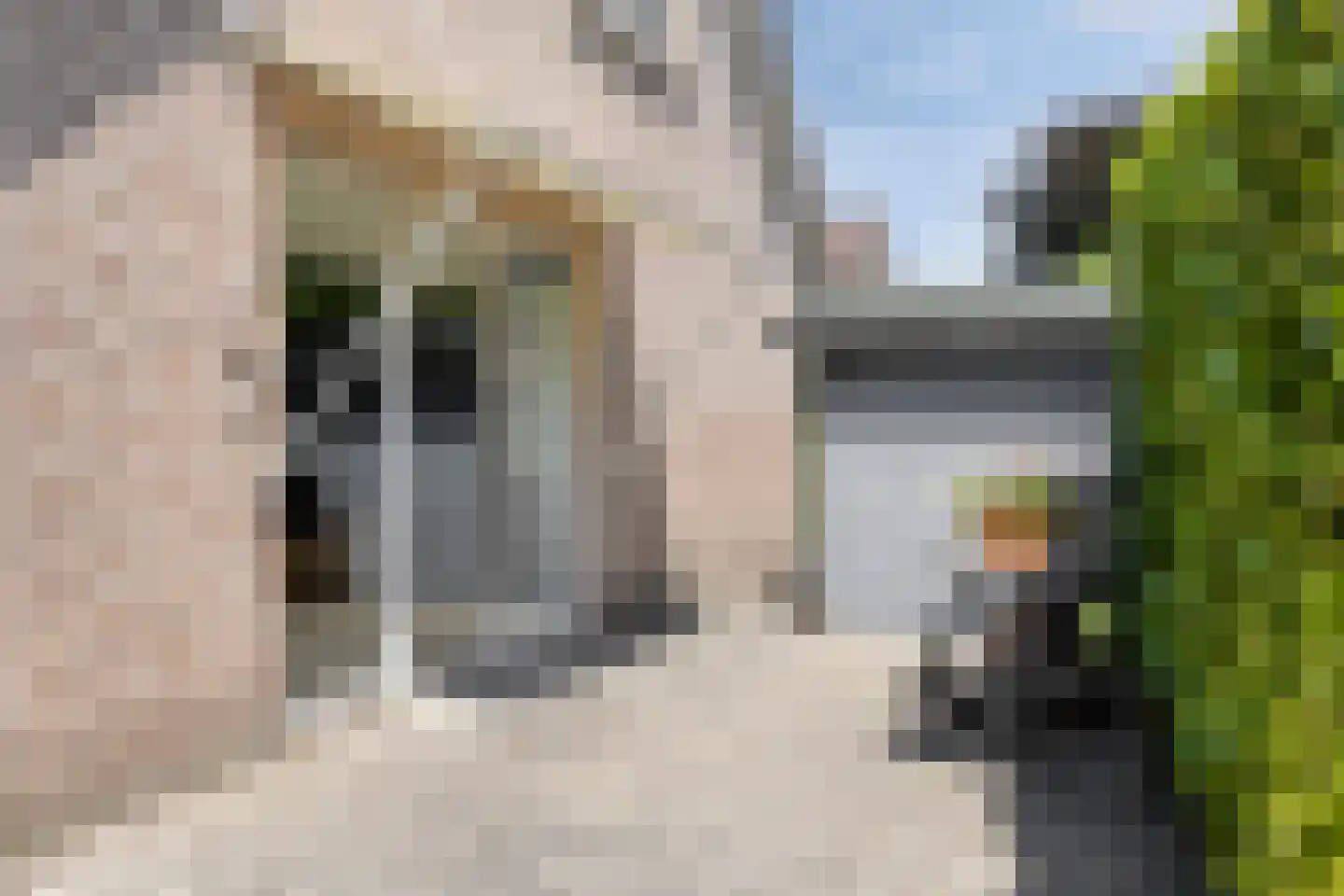 Kleine Heistraat 16 K032 Wernhout thumbnail 25