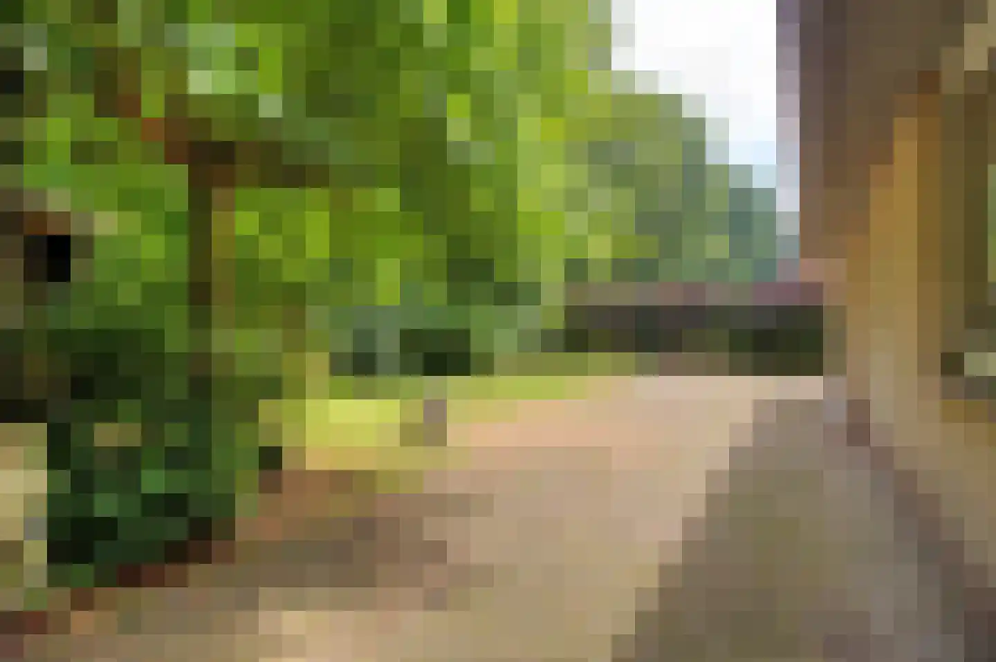 Kleine Heistraat 16 K154 Wernhout thumbnail 4