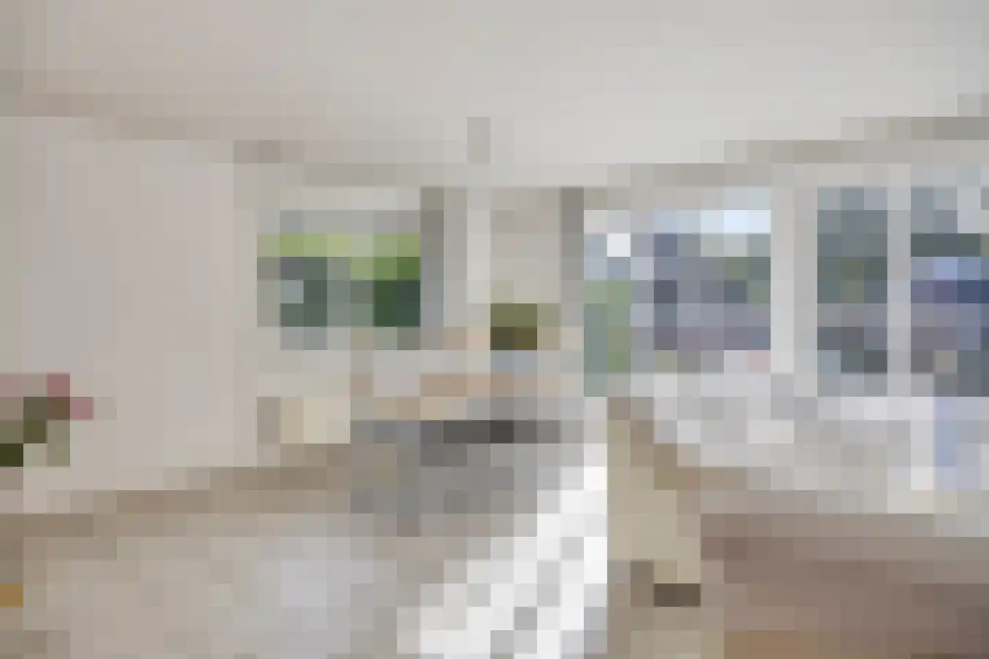 Kleine Heistraat 16 K164 Wernhout thumbnail 24