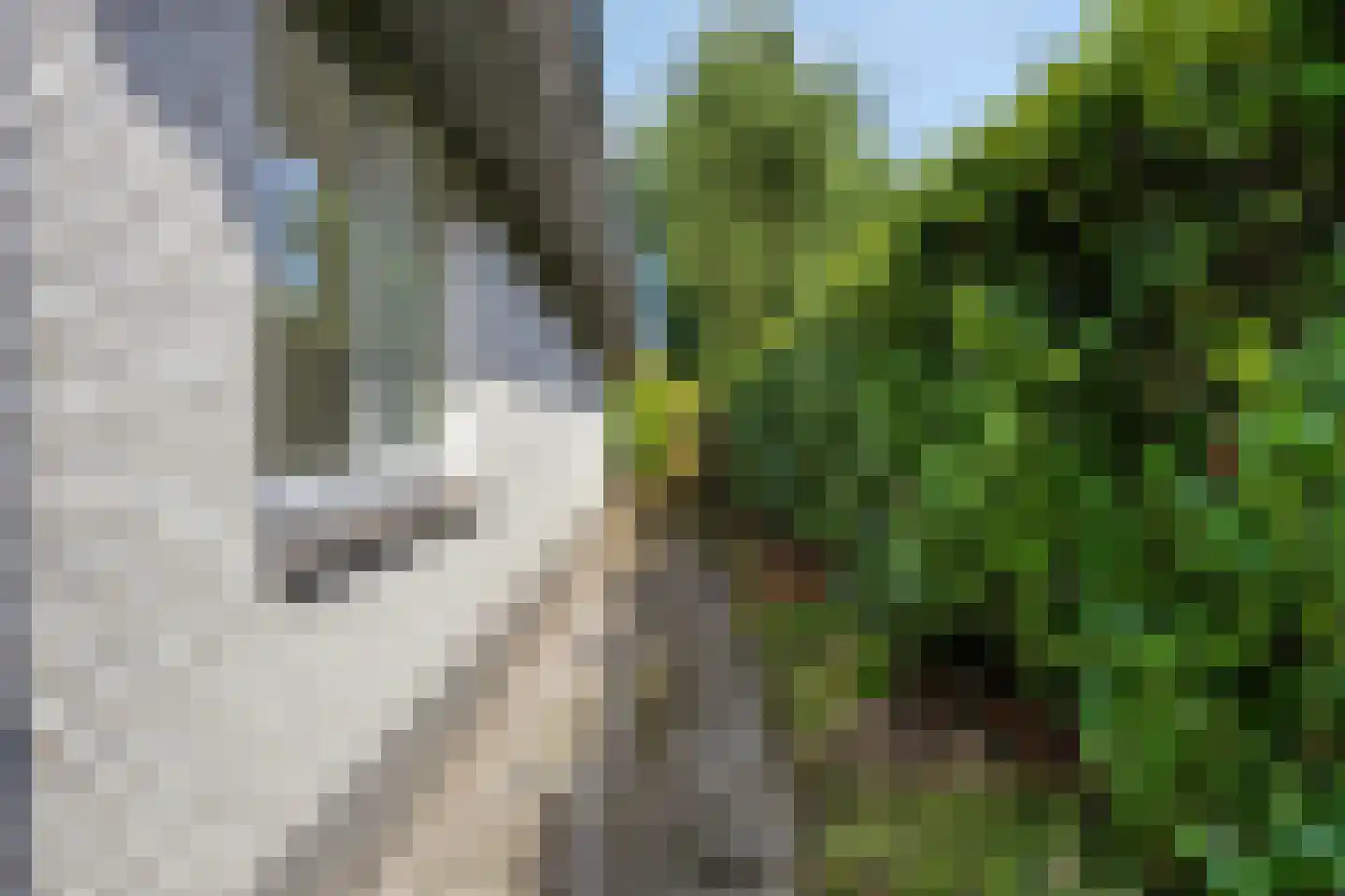 Kleine Heistraat 16 K164 Wernhout thumbnail 44