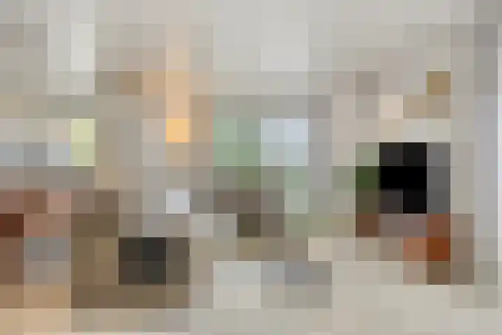 Kleine Heistraat 16 K198 Wernhout thumbnail 11