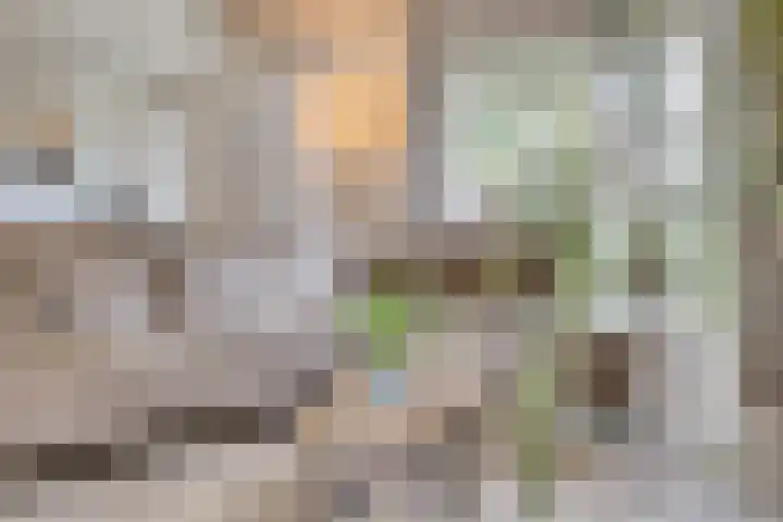 Kleine Heistraat 16 K198 Wernhout thumbnail 16
