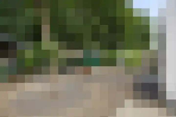 Kleine Heistraat 16 K198 Wernhout thumbnail 26