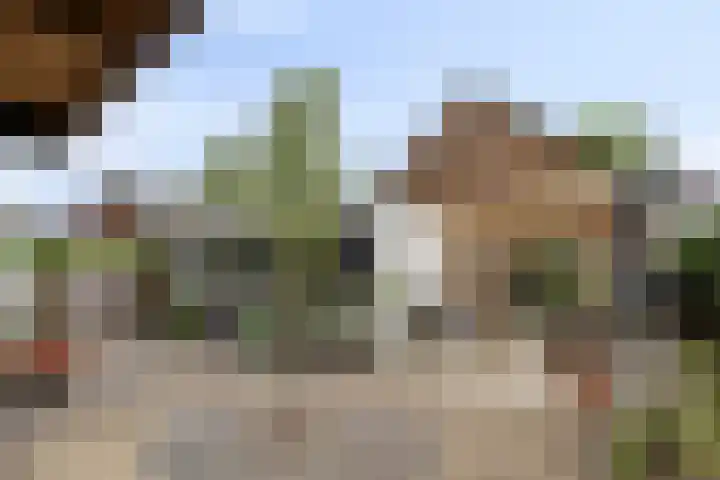 Kleine Heistraat 16 K198 Wernhout thumbnail 27