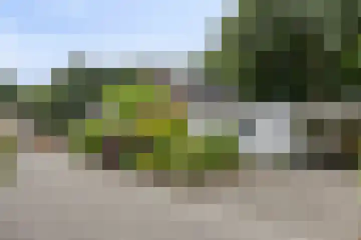 Kleine Heistraat 16 K198 Wernhout thumbnail 6