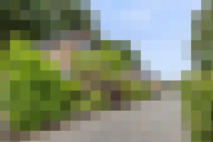 Kleine Heistraat 16 K198 Wernhout thumbnail 7