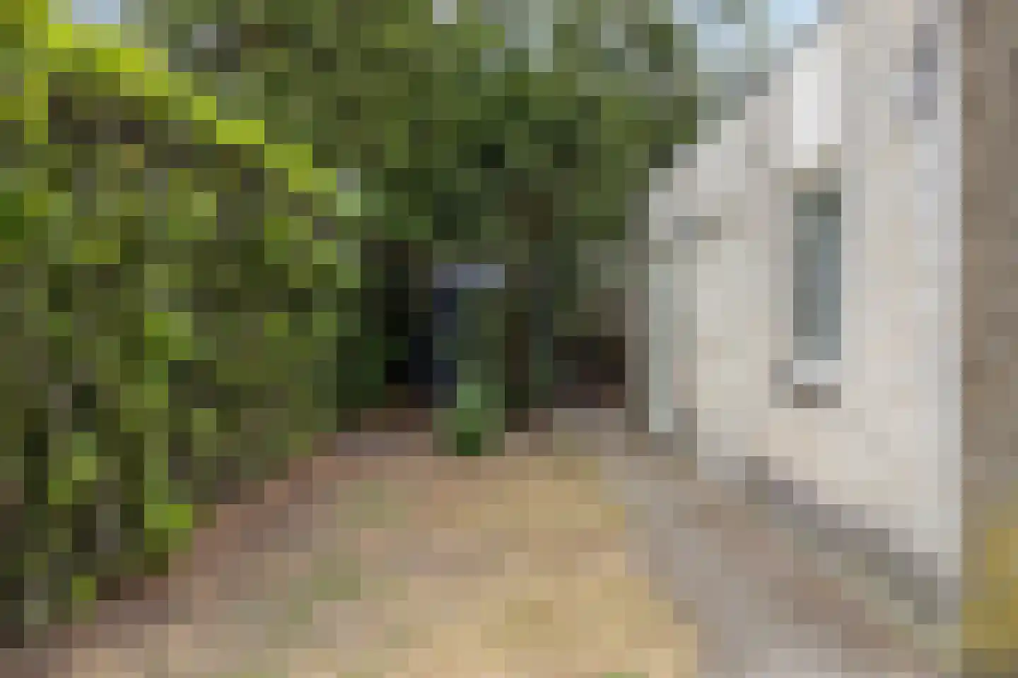 Kleine Heistraat 16 K199 Wernhout thumbnail 20