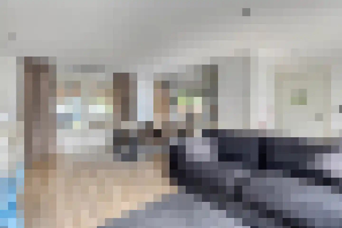 Kleine Heistraat 16 K215 Wernhout thumbnail 14