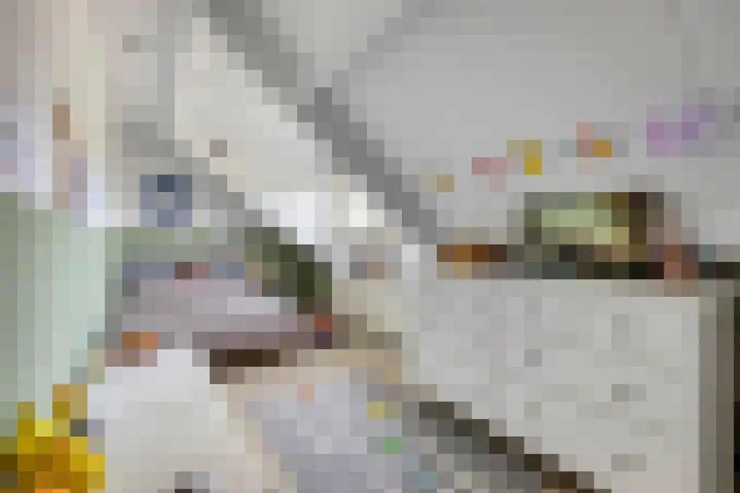 Kleine Heistraat 16 K215 Wernhout thumbnail 30