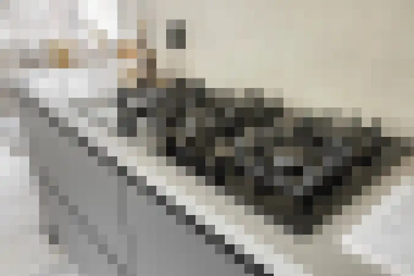 Kleine Heistraat 16 K217 Wernhout thumbnail 27