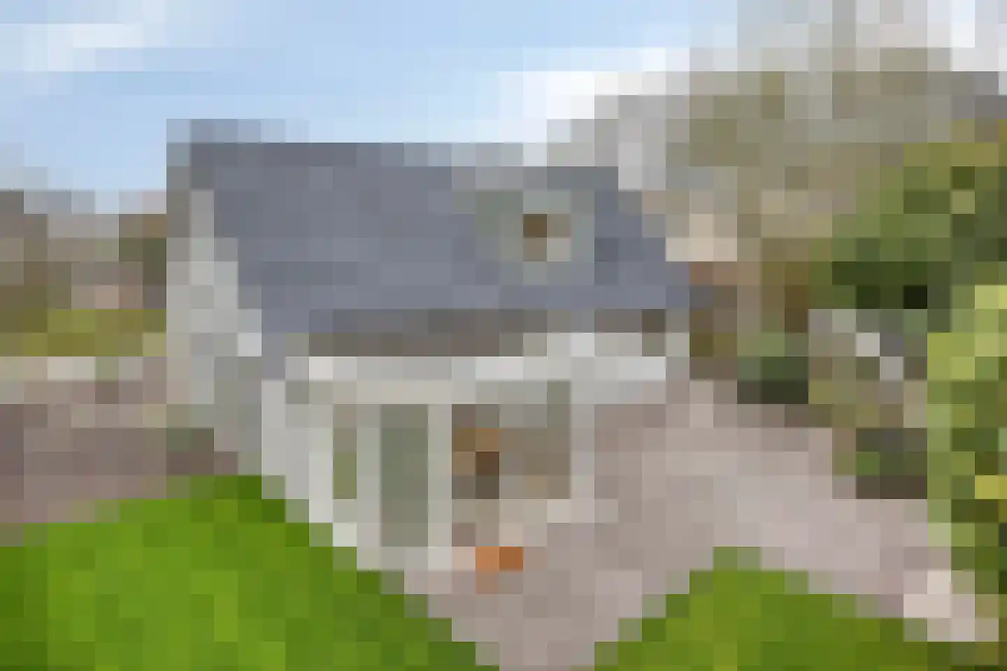 Kleine Heistraat 16 K217 Wernhout thumbnail 47