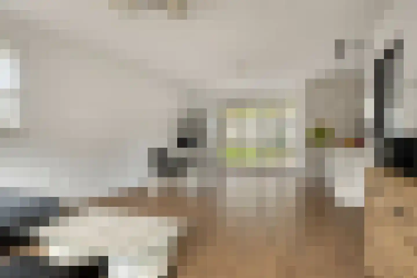 Kleine Heistraat 16 K220 Wernhout thumbnail 13