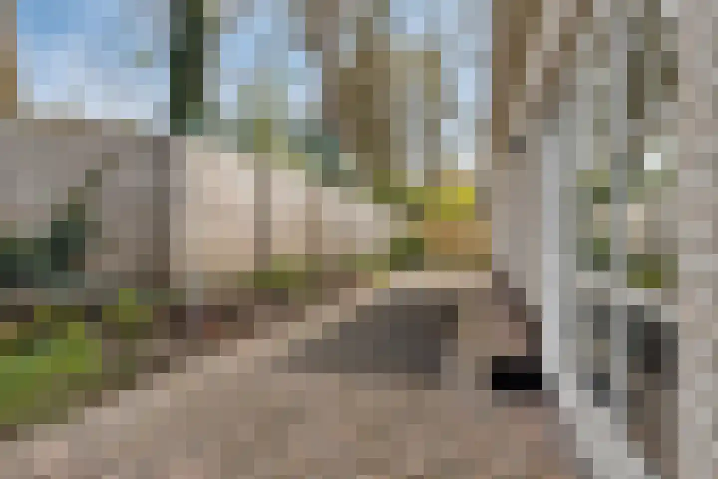 Kleine Heistraat 16 K220 Wernhout thumbnail 37
