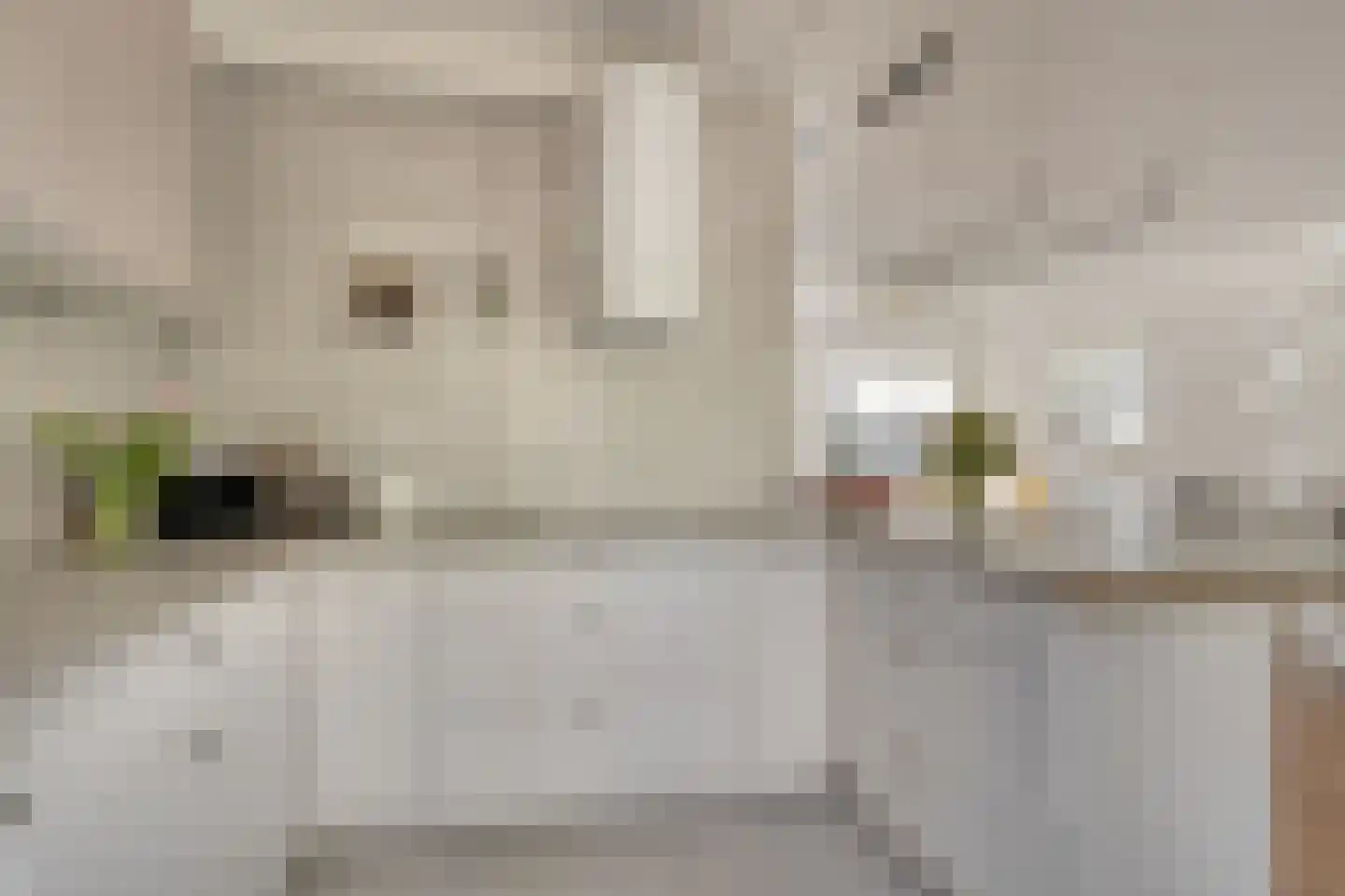 Kleine Heistraat 16 K220 Wernhout thumbnail 4