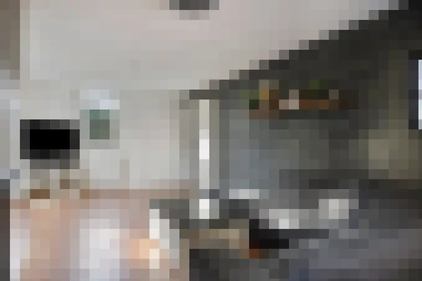 Kleine Heistraat 16 K225 Wernhout thumbnail 10