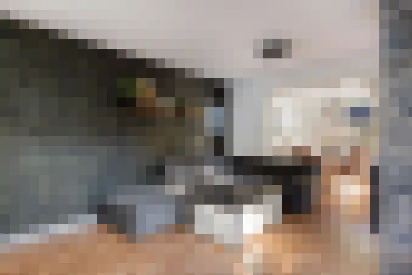 Kleine Heistraat 16 K225 Wernhout thumbnail 11