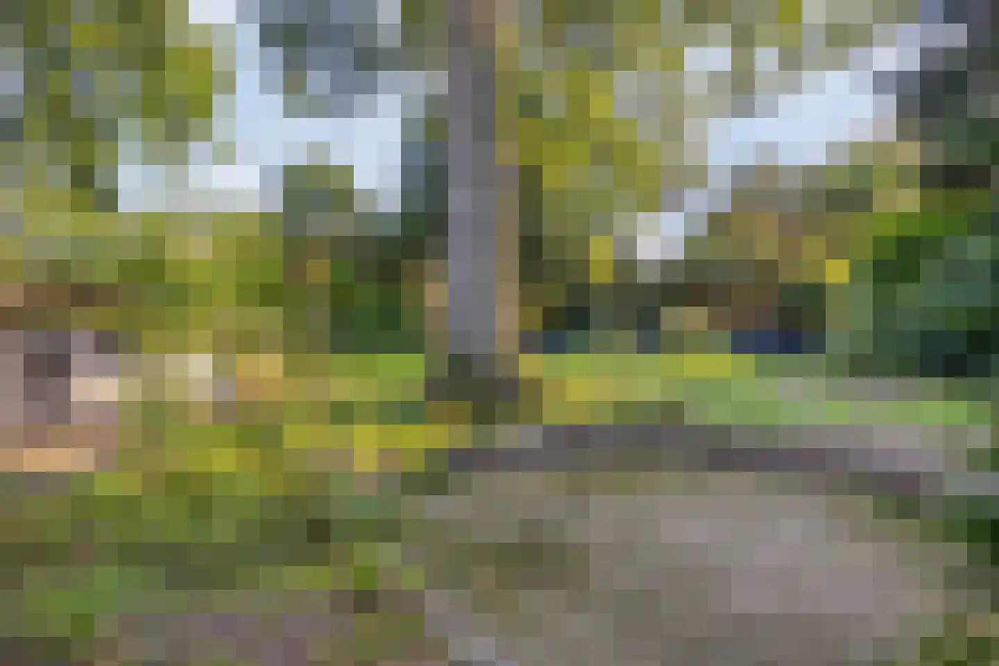Kleine Heistraat 16 K225 Wernhout thumbnail 4