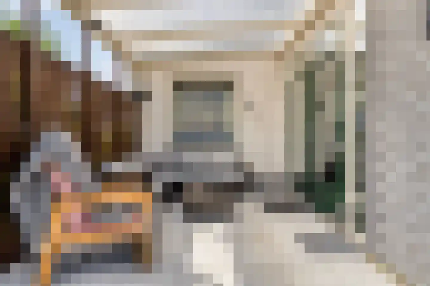 Kleine Heistraat 16 K236 Wernhout thumbnail 5