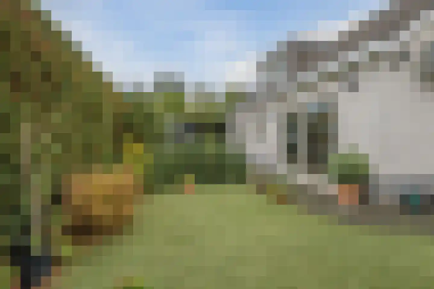 Kleine Heistraat 16 K252 Wernhout thumbnail 30