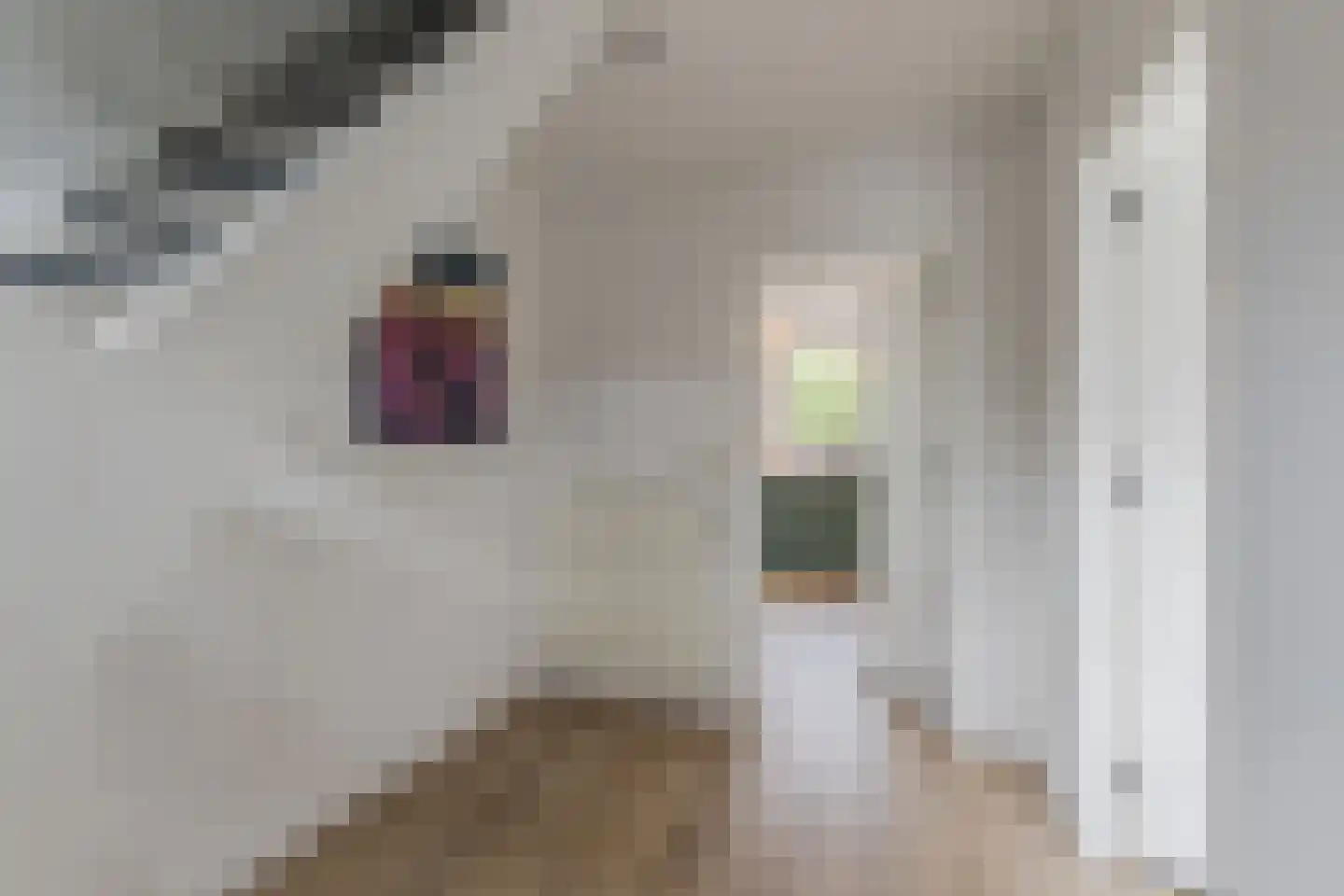 Kleine Heistraat 16 K252 Wernhout thumbnail 6