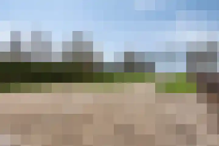 Kleine Heistraat 16 K264 Wernhout thumbnail 44