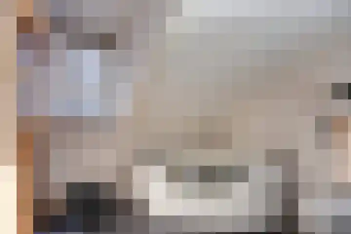 Kleine Heistraat 16 K270 Wernhout thumbnail 18