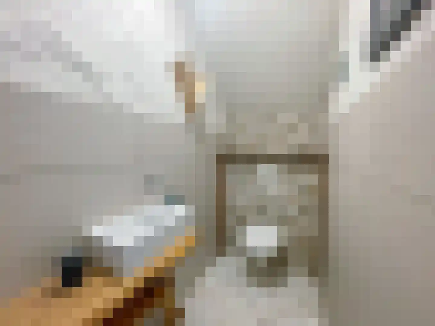 Kleine Heistraat 16 K283 Wernhout thumbnail 11