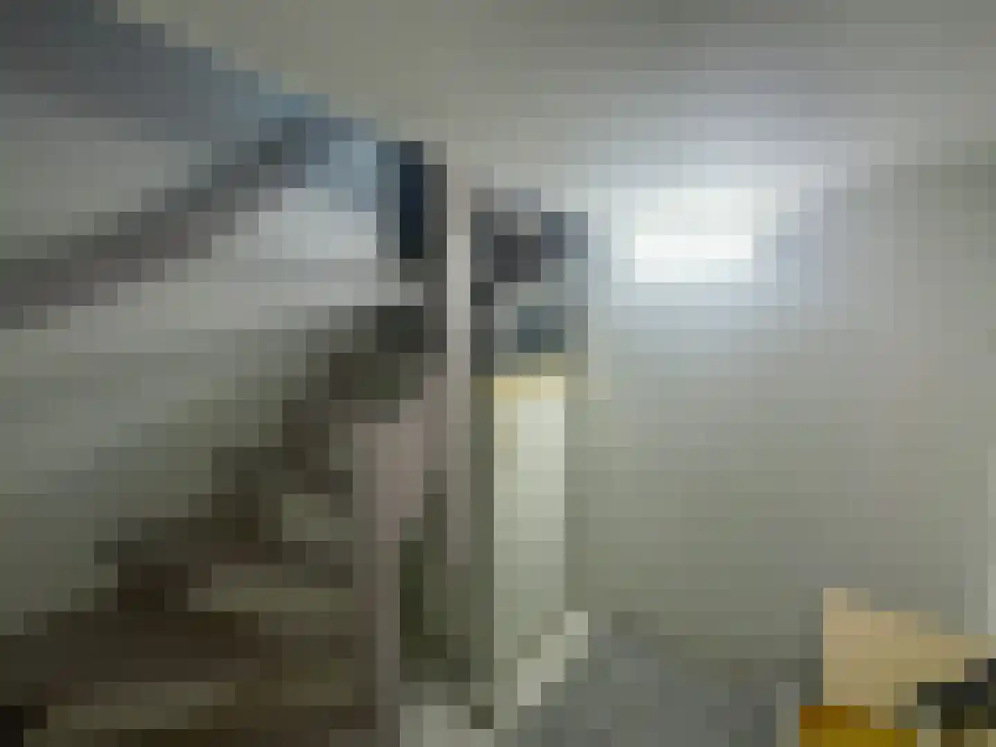 Kleine Heistraat 16 K283 Wernhout thumbnail 18