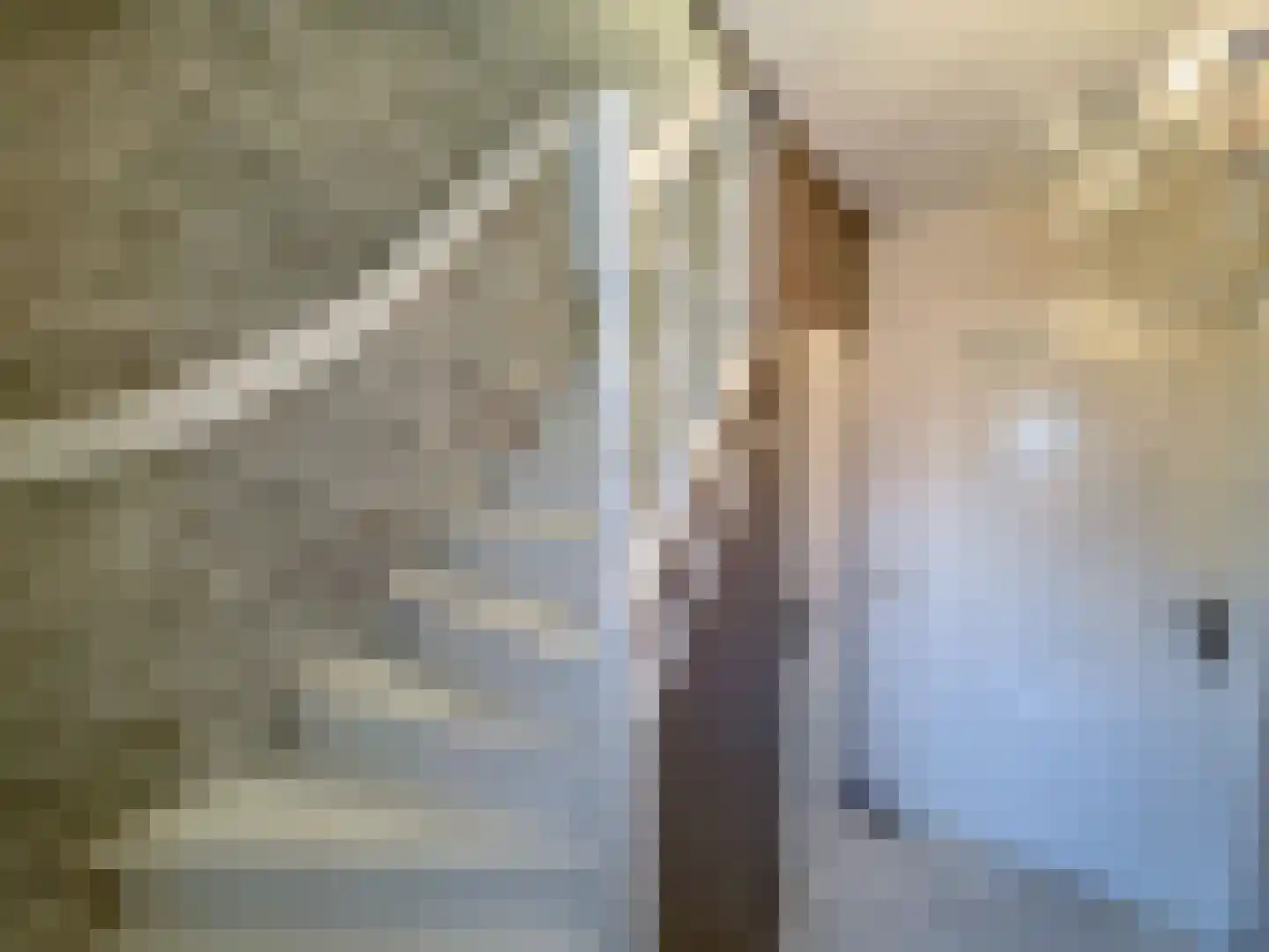 Kleine Heistraat 16 K283 Wernhout thumbnail 19