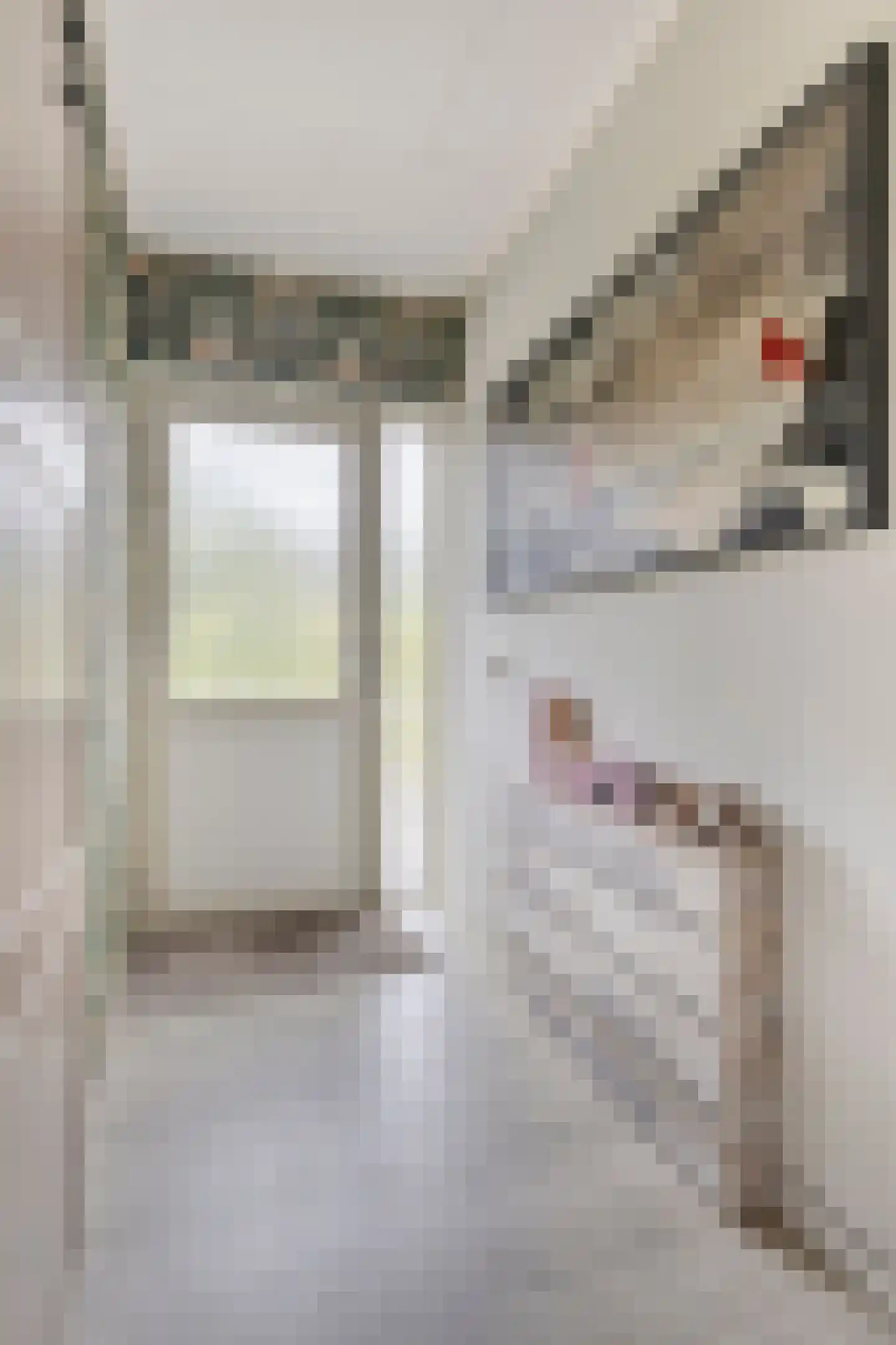 Kleine Heistraat 16 K287 Wernhout thumbnail 10