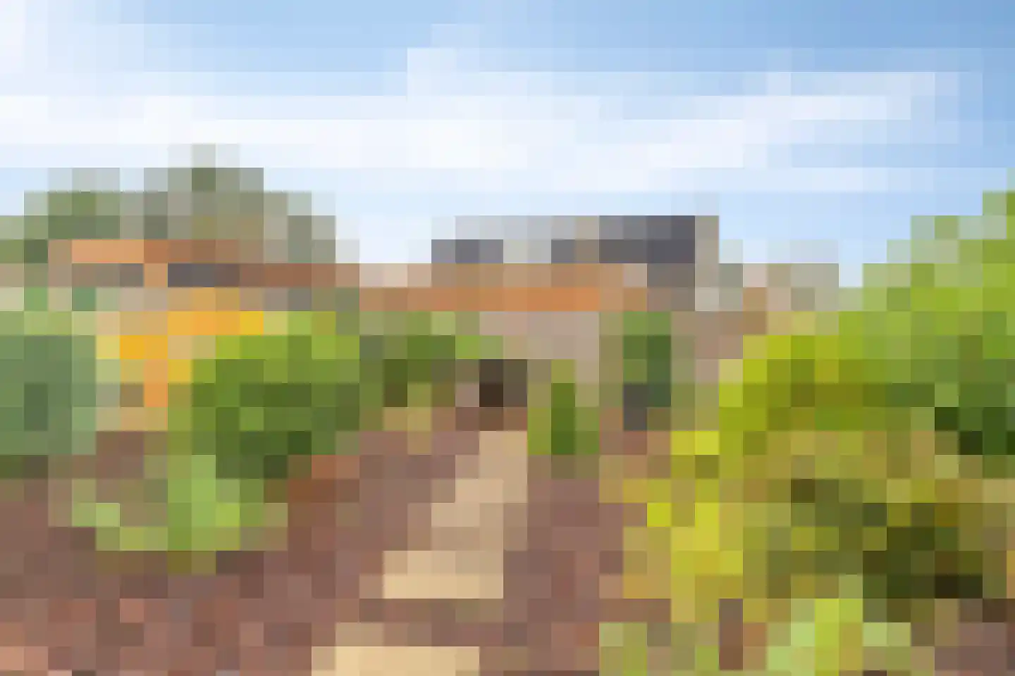 Kleine Heistraat 16 K287 Wernhout thumbnail 28