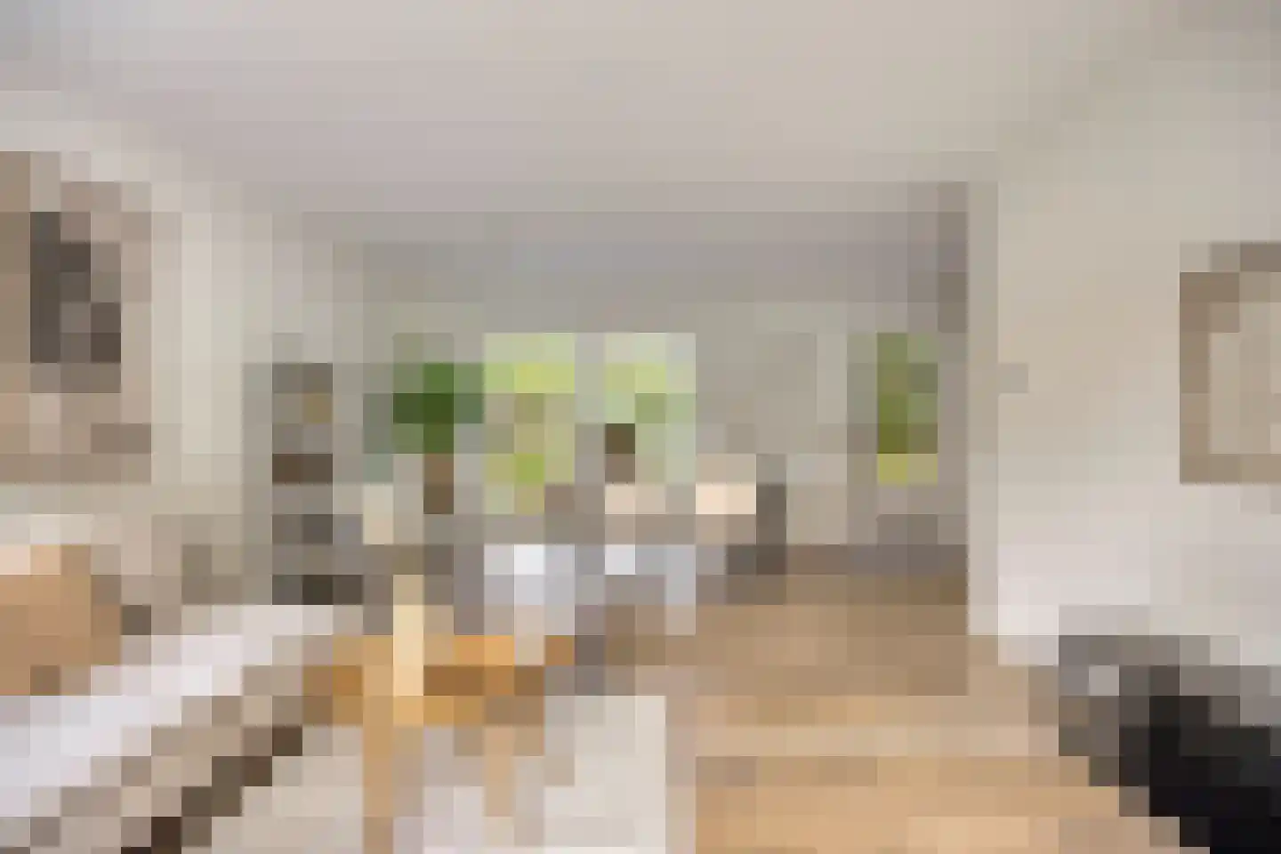 Kleine Heistraat 16 K290 Wernhout thumbnail 10