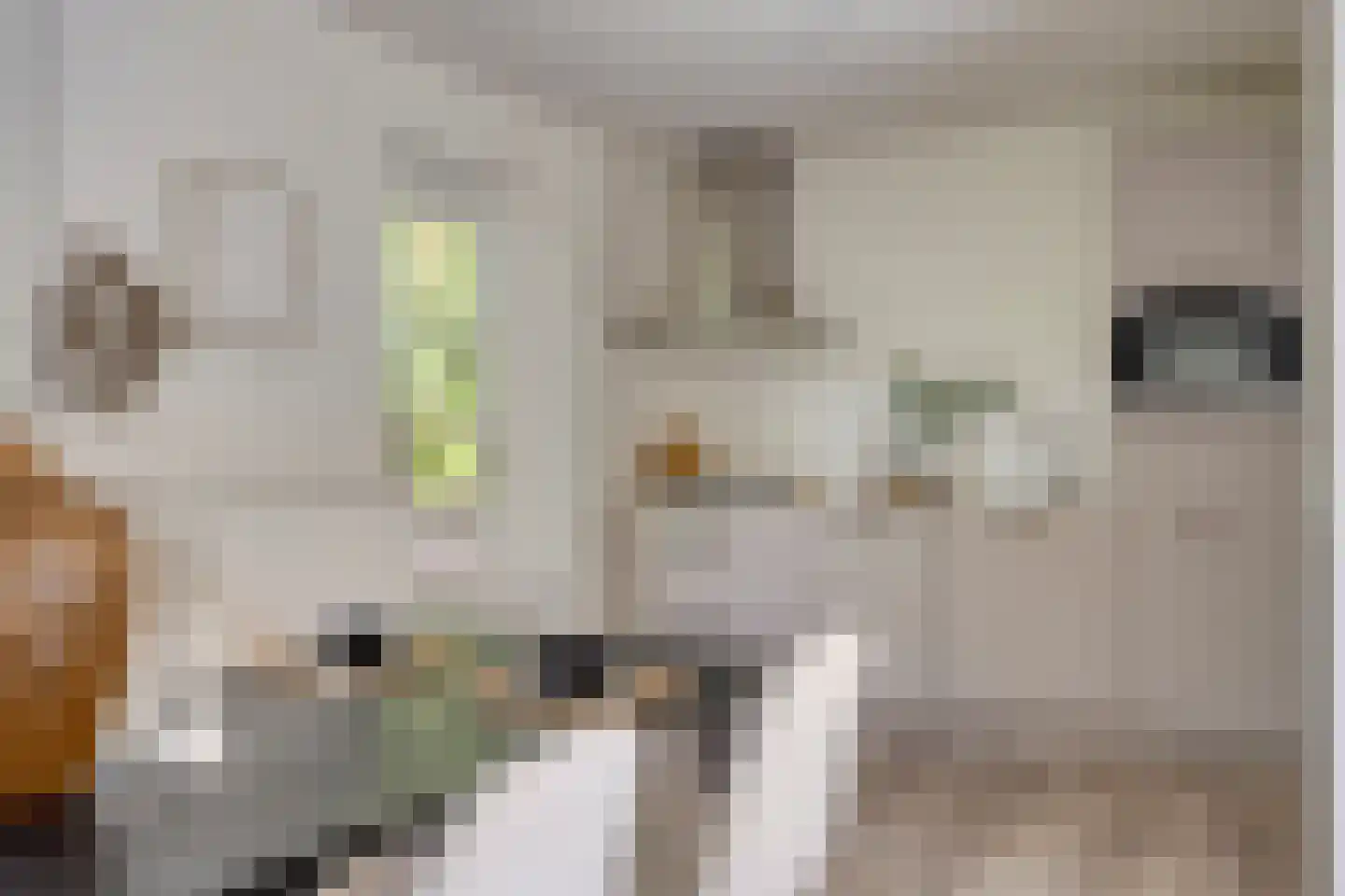 Kleine Heistraat 16 K290 Wernhout thumbnail 13