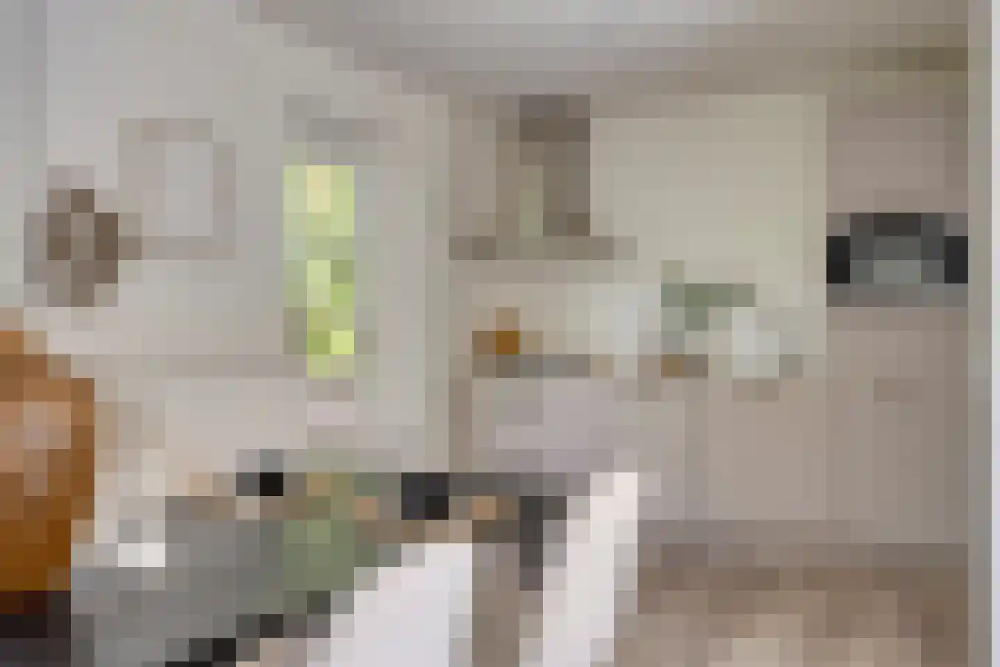 Kleine Heistraat 16 K290 Wernhout thumbnail 13