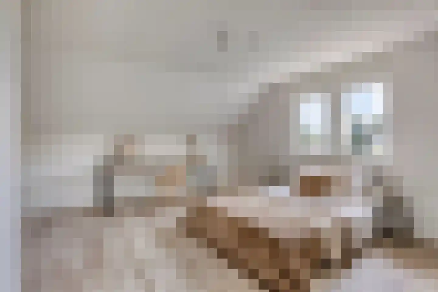 Kleine Heistraat 16 K290 Wernhout thumbnail 25