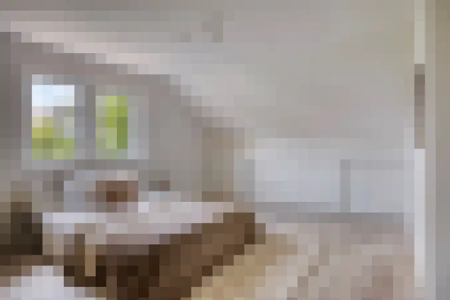 Kleine Heistraat 16 K290 Wernhout thumbnail 25