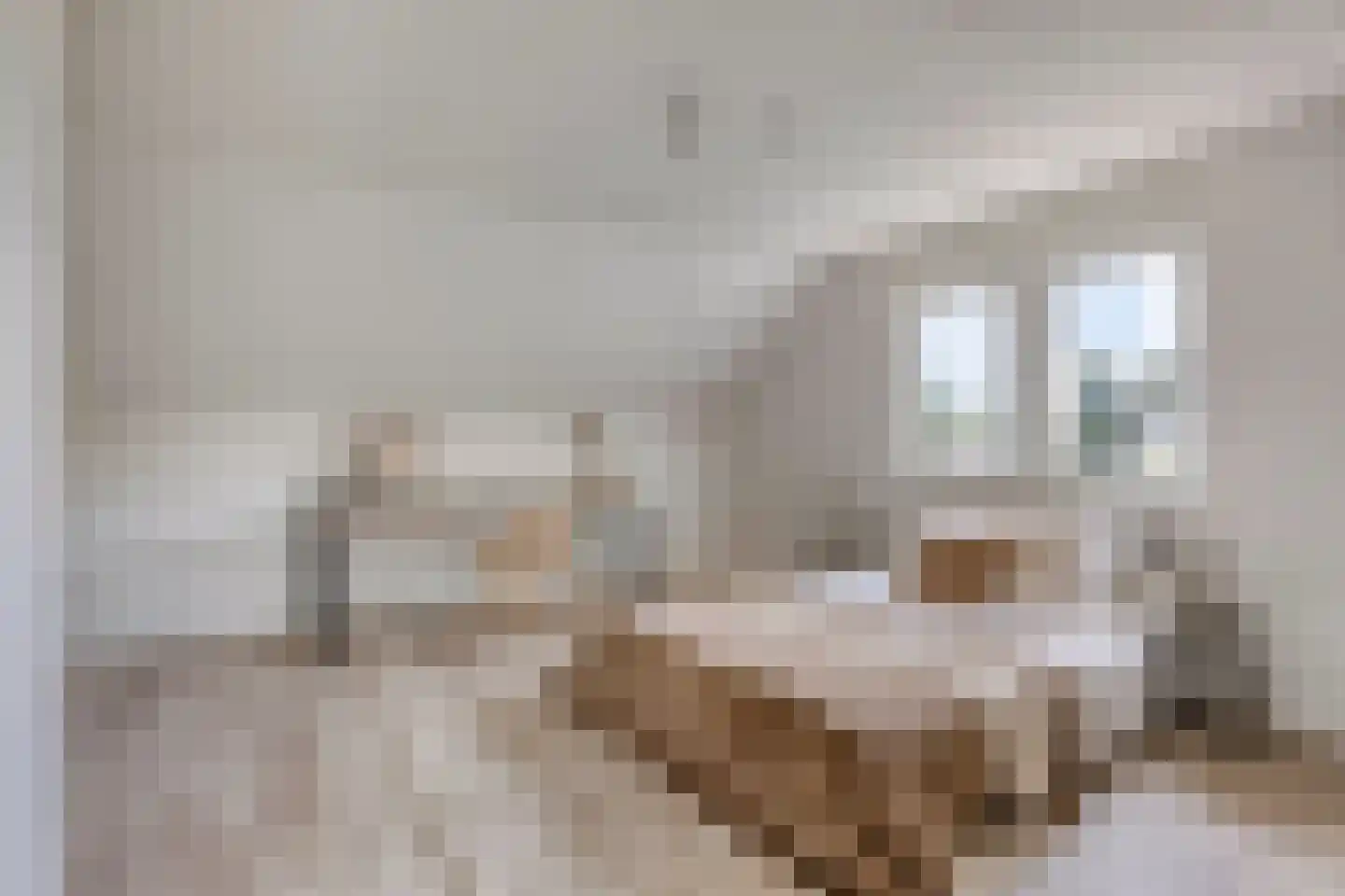 Kleine Heistraat 16 K290 Wernhout thumbnail 26