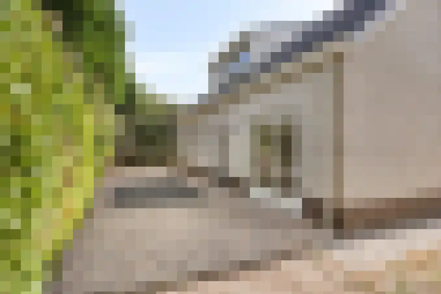 Kleine Heistraat 16 K290 Wernhout thumbnail 34