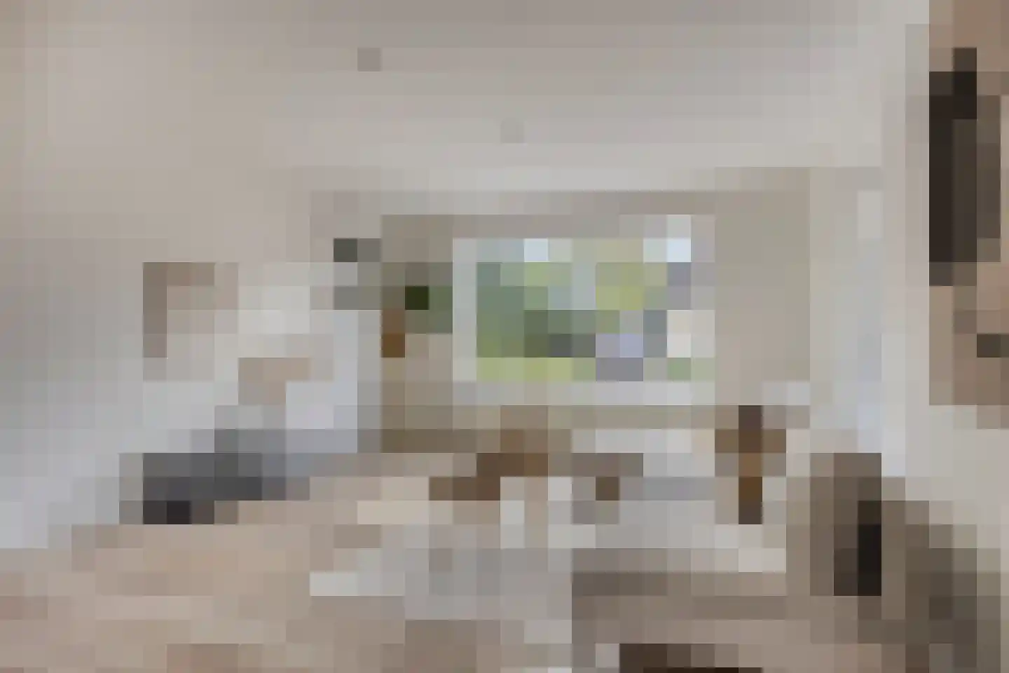 Kleine Heistraat 16 K290 Wernhout thumbnail 9