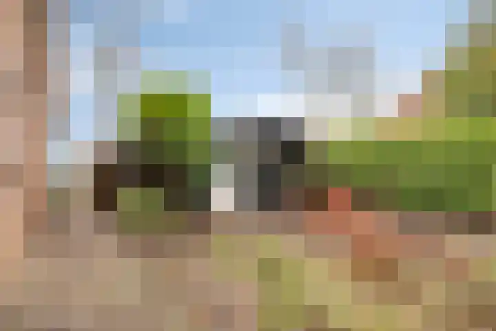 Kleine Heistraat 16 K322 Wernhout thumbnail 17