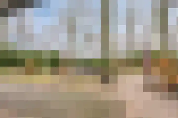 Kleine Heistraat 16 K322 Wernhout thumbnail 18