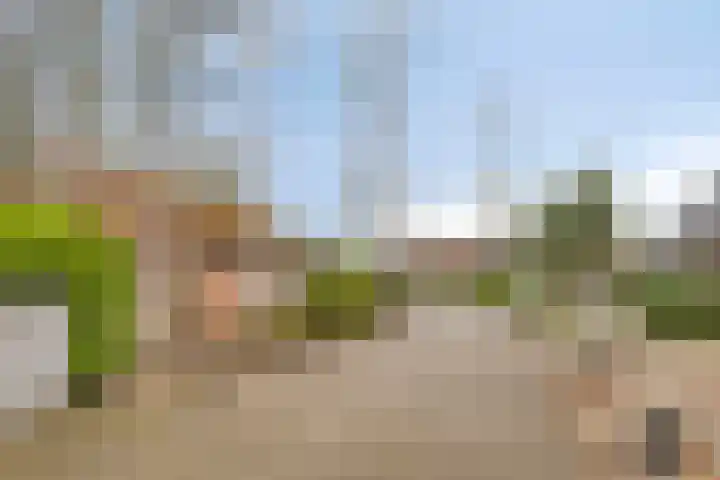 Kleine Heistraat 16 K322 Wernhout thumbnail 24