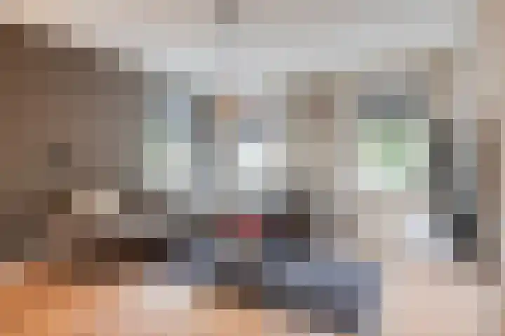 Kleine Heistraat 16 K329 Wernhout thumbnail 14