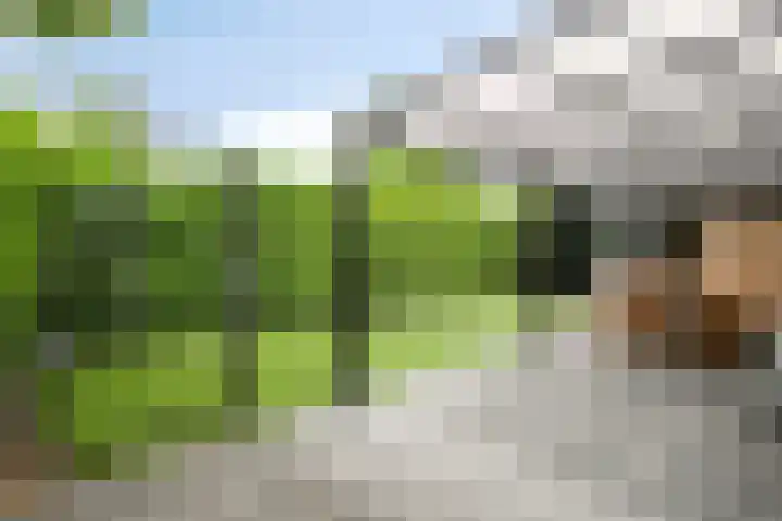 Kleine Heistraat 16 K329 Wernhout thumbnail 43