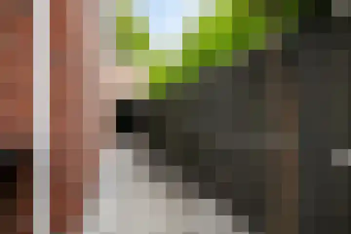 Kleine Heistraat 16 K329 Wernhout thumbnail 46
